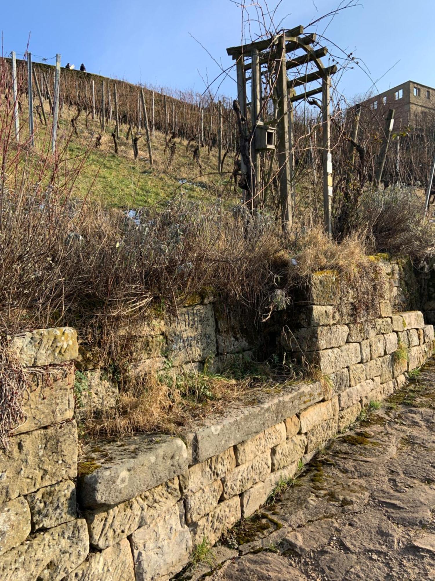 Unter Der Yburg Stetten Stetten  Exterior foto